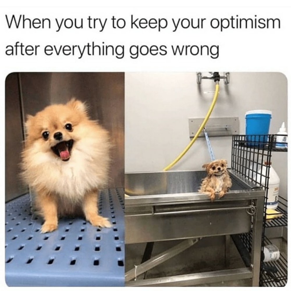 Offers welcome, I'm optimistic!